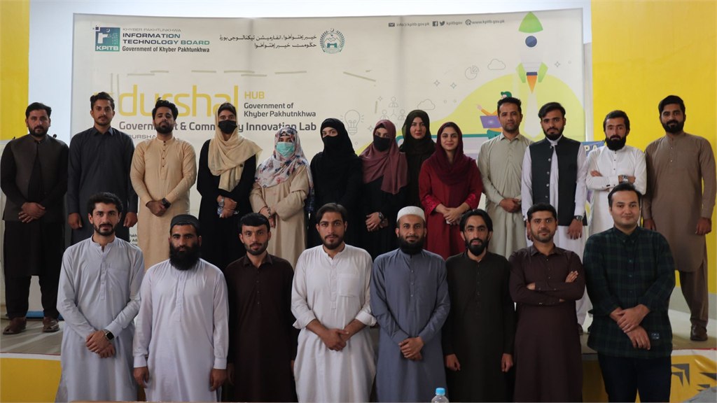 Government Innovation Fellowship